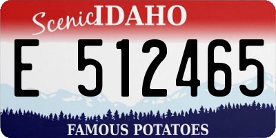 ID license plate E512465