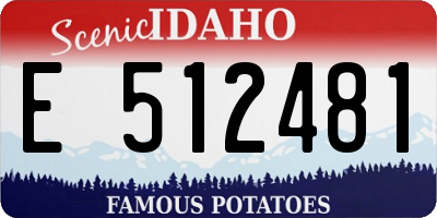 ID license plate E512481