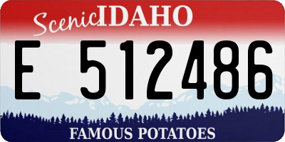 ID license plate E512486