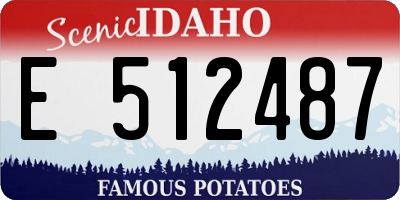 ID license plate E512487
