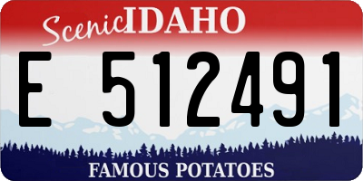 ID license plate E512491
