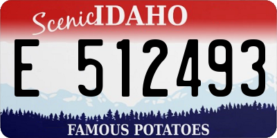 ID license plate E512493