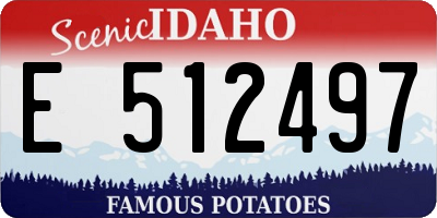 ID license plate E512497