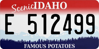 ID license plate E512499