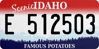ID license plate E512503