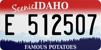 ID license plate E512507