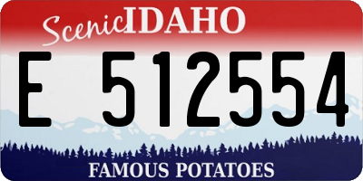 ID license plate E512554