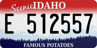 ID license plate E512557