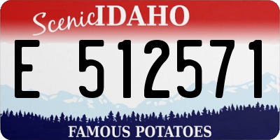 ID license plate E512571