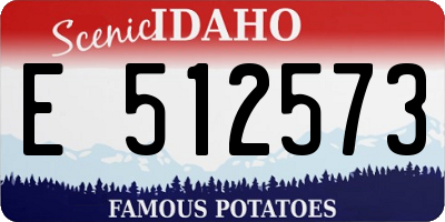 ID license plate E512573