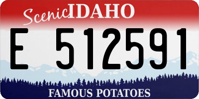 ID license plate E512591