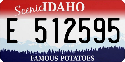 ID license plate E512595