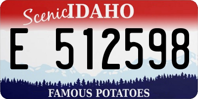 ID license plate E512598
