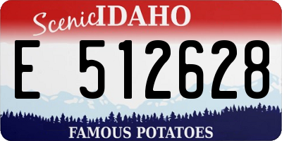 ID license plate E512628