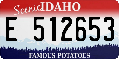 ID license plate E512653