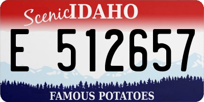 ID license plate E512657