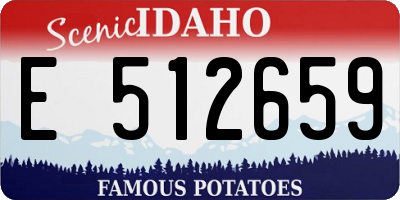ID license plate E512659
