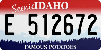 ID license plate E512672
