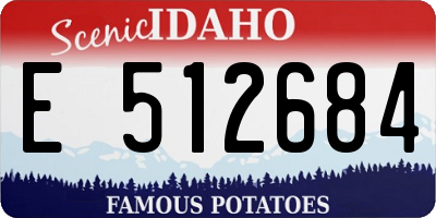 ID license plate E512684
