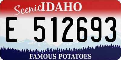 ID license plate E512693
