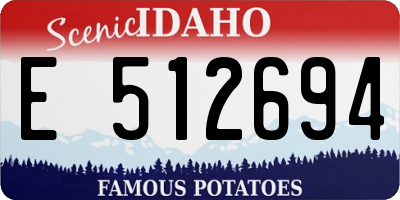 ID license plate E512694