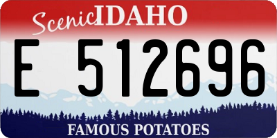 ID license plate E512696
