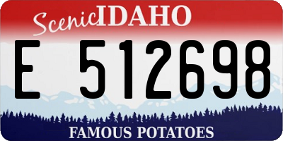 ID license plate E512698