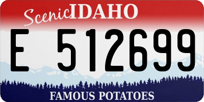 ID license plate E512699