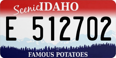 ID license plate E512702