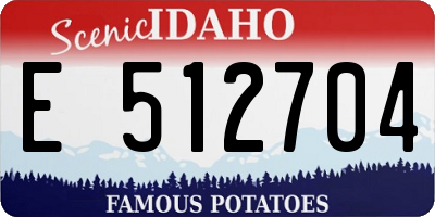 ID license plate E512704