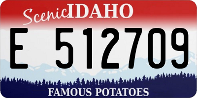 ID license plate E512709