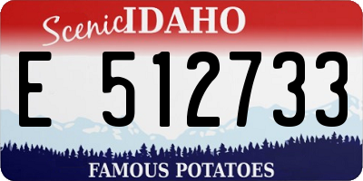 ID license plate E512733