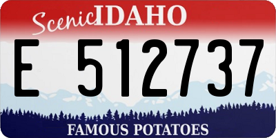 ID license plate E512737