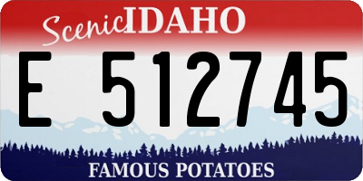 ID license plate E512745