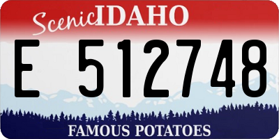 ID license plate E512748