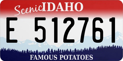 ID license plate E512761