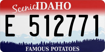 ID license plate E512771