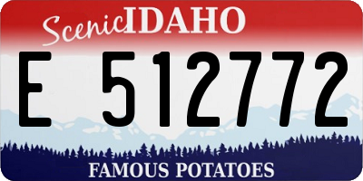 ID license plate E512772