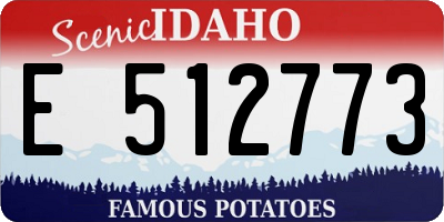 ID license plate E512773