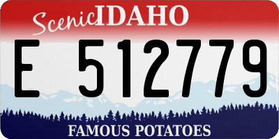 ID license plate E512779