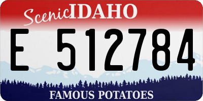 ID license plate E512784