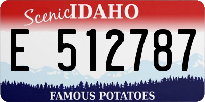ID license plate E512787