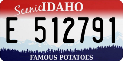 ID license plate E512791