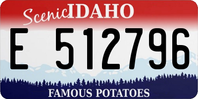 ID license plate E512796