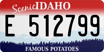 ID license plate E512799