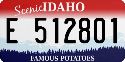 ID license plate E512801