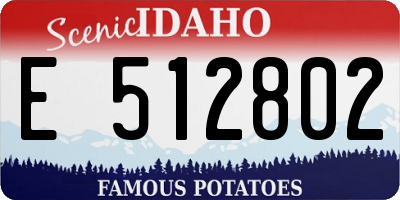 ID license plate E512802