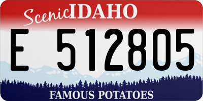 ID license plate E512805
