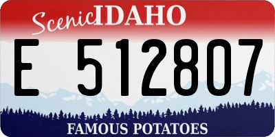 ID license plate E512807