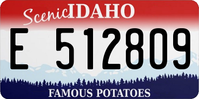 ID license plate E512809